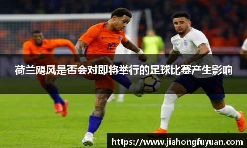 博鱼体育