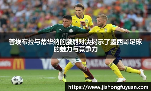 博鱼体育