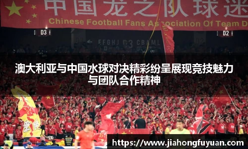博鱼官方网站