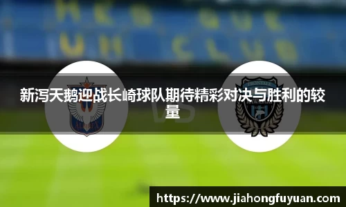 博鱼boyu体育